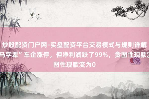 炒股配资门户网-实盘配资平台交易模式与规则详解 一“马字辈”车企涨停，但净利润跌了99%，贪图性现款流为0